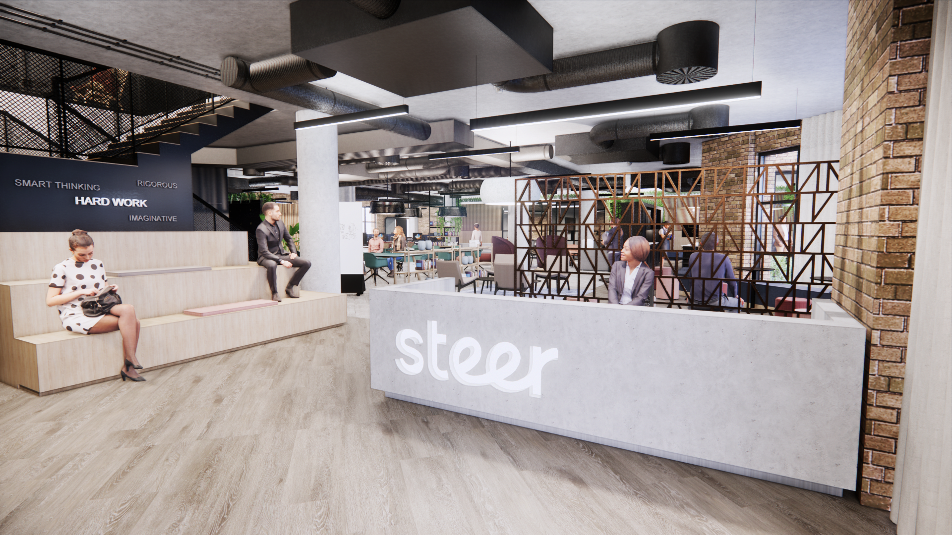 Steer